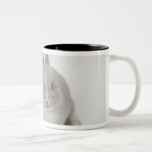 Taza Bicolor Conejitos del enano y de Holanda Lop de dos