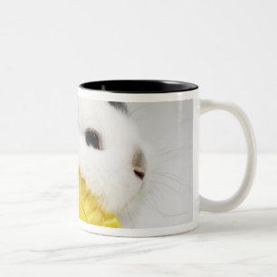 Taza Bicolor Conejo blanco y negro en el correo azul con