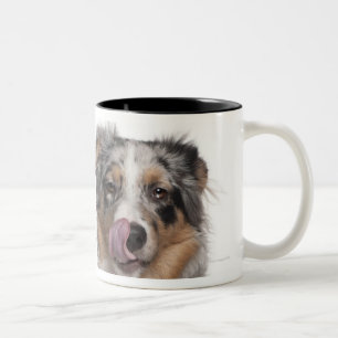Taza Bicolor Conejo (de 1 año) que miente al lado de un