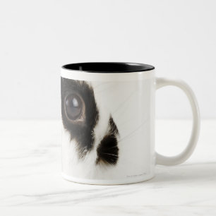 Taza Bicolor Conejo lanoso del jersey