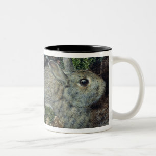 Taza Bicolor Conejos