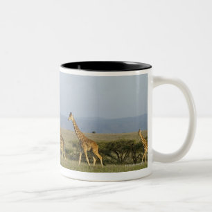 Taza Bicolor Conservación de la fauna de Lewa, Kenia