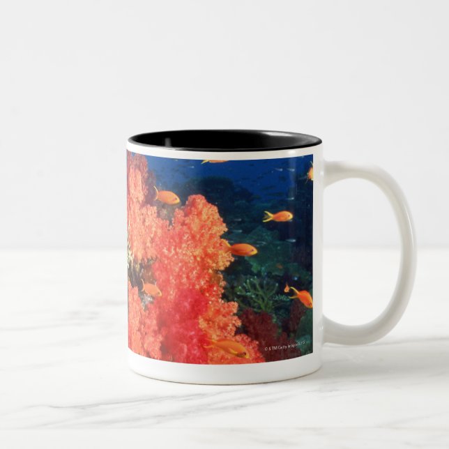 Taza Bicolor Coral y pescados (Derecha)