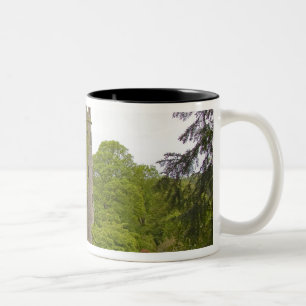 Taza Bicolor Cork, Irlanda. El infame Castillo Blarney 2