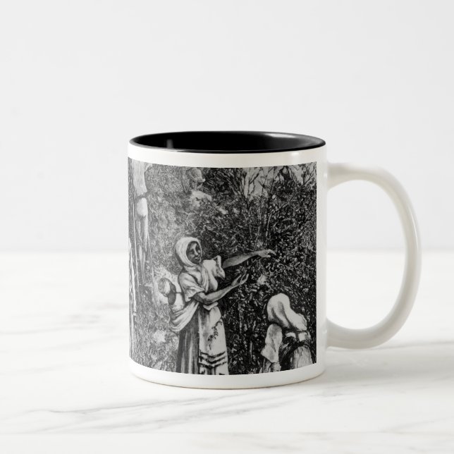Taza Bicolor Cosecha del café (Derecha)