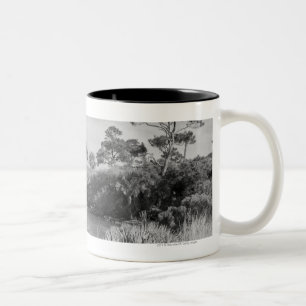 Taza Bicolor Costa