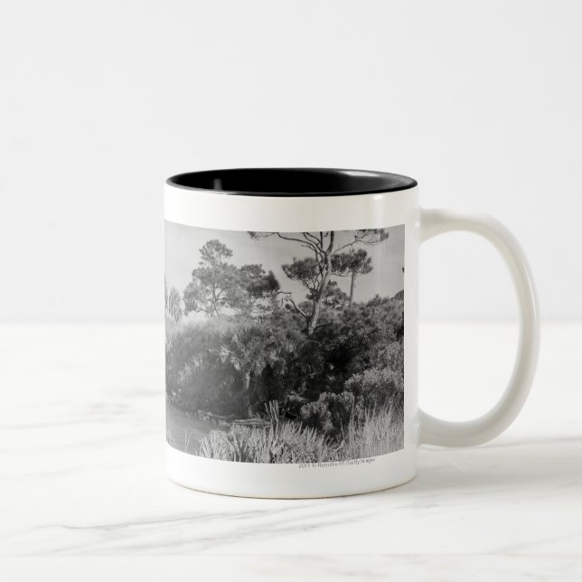 Taza Bicolor Costa (Derecha)