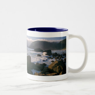 Taza Bicolor Costa de Oregon