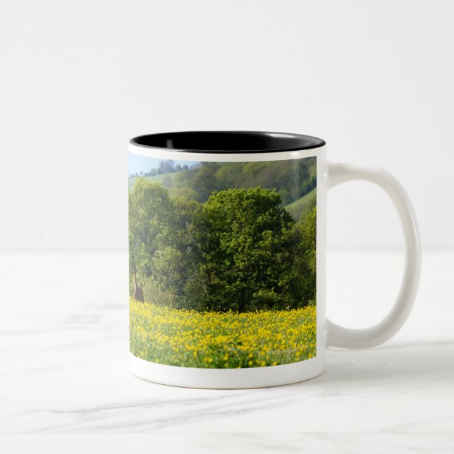 Taza Bicolor Cotswolds, Reino Unido (Derecha)