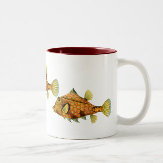 Taza Bicolor Cowfish del casco