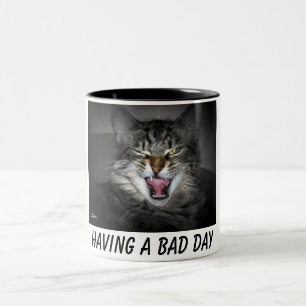 Taza Bicolor Crabby Kitty Cat Mug