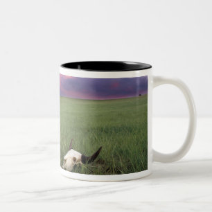 Taza Bicolor Cráneo de Búfalo en Hierba de Pradera cerca de Med