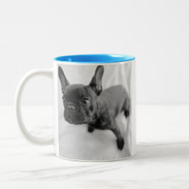 Taza Bicolor Create Your Own Pet Photo | Black and White