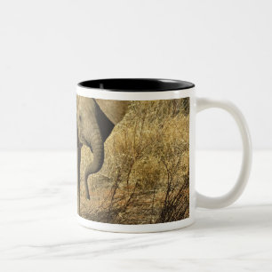 Taza Bicolor Cría de elefante africano, Loxodonta Africana,