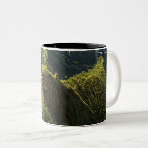 Taza Bicolor Criaturas marinas de Guay
