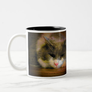 Taza Bicolor ¿Cuándo es la temporada de fútbol?