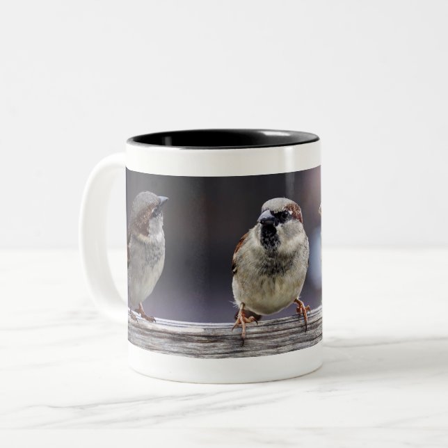 Taza Bicolor Cuatro gorriones sobre una cerca (Anverso izquierdo)