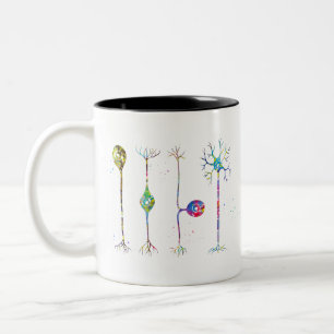 Taza Bicolor Cuatro tipos de neuronas