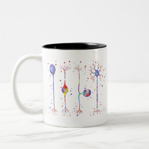 Taza Bicolor Cuatro tipos de neuronas