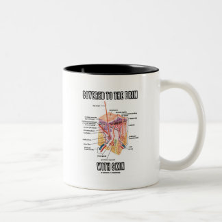 Taza Bicolor Cubierto al borde con la piel (capas de la piel)