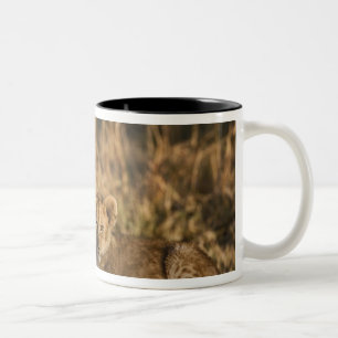 Taza Bicolor Cubos de león en registro
