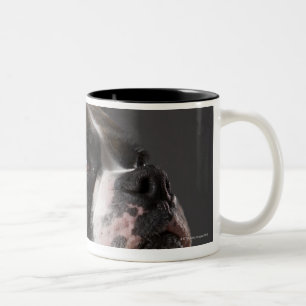 Taza Bicolor Cuello que lleva del perro, mirando lejos