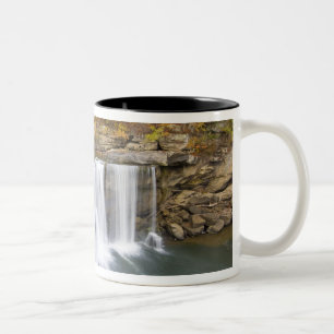 Taza Bicolor Cumberland Falls Parque Estatal cerca de Corbin Ke