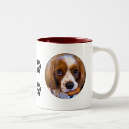 Taza Bicolor Cute Cavalier King Charles Spaniel Café Mug