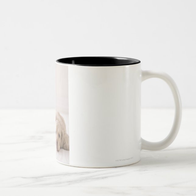 Taza Bicolor Dachshund de dos miniaturas (Derecha)