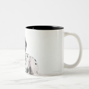 Taza Bicolor Dalmatian 4