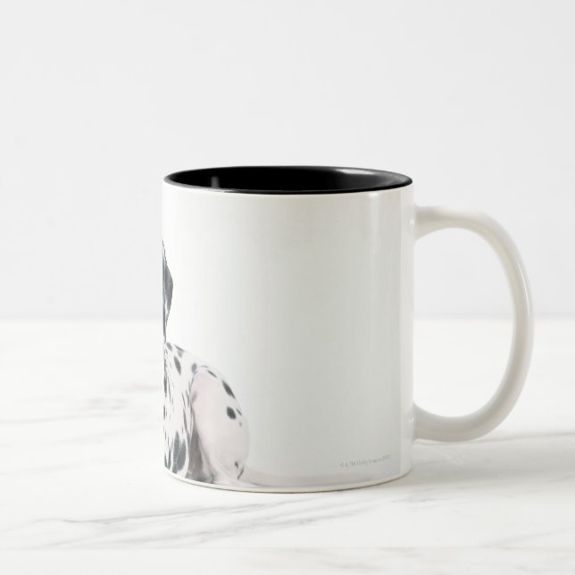 Taza Bicolor Dalmatian 4 (Derecha)