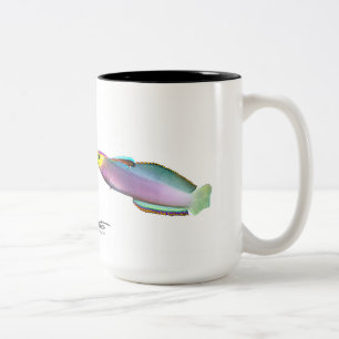 Taza Bicolor Dartfish de Helfrich, helfrichi de Nemateleotris