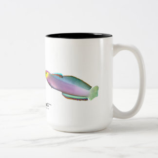 Taza Bicolor Dartfish de Helfrich, helfrichi de Nemateleotris