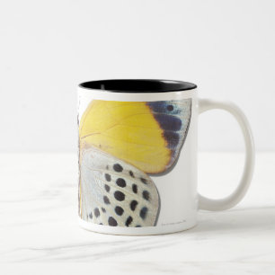 Taza Bicolor Davisi de Calithea