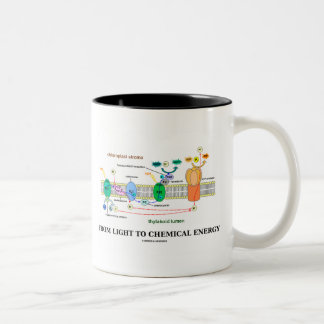 Taza Bicolor De luz a la energía química (fotosíntesis)