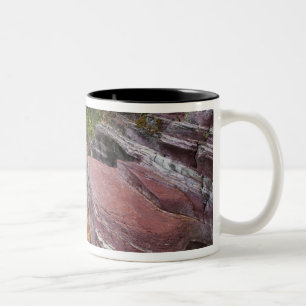 Taza Bicolor Deadwood Falls en Reynolds Creek en otoño en