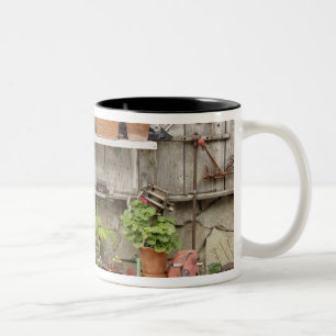 Taza Bicolor Decoraciones en valla de madera, Isla Catalina,