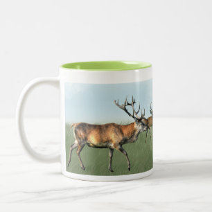 Taza Bicolor Deer Stag & Herd, Hampshire, Inglaterra