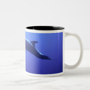 Taza Bicolor Delfín