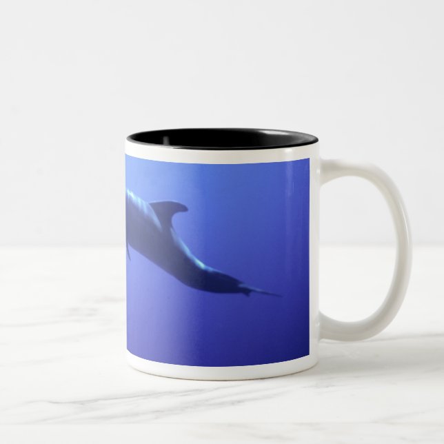 Taza Bicolor Delfín (Derecha)