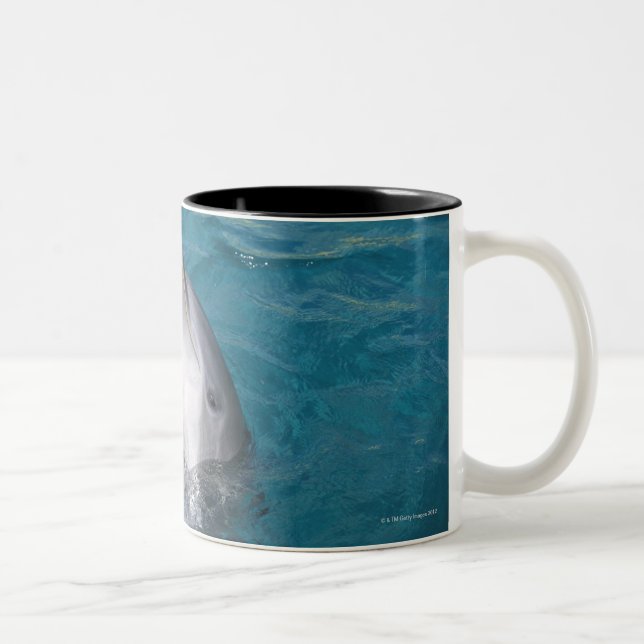 Taza Bicolor Delfín de Bottlenose costero (Derecha)