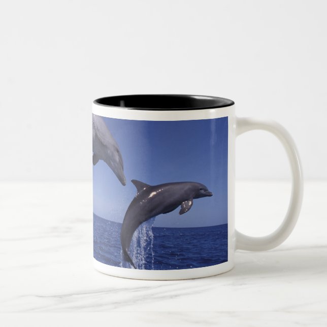 Taza Bicolor delfines mulares del Caribe (Derecha)