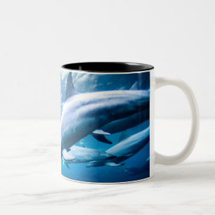 Taza Bicolor Delfínes subacuáticos