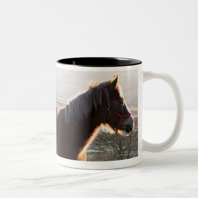 Taza Bicolor Derbyshire, Inglaterra (Derecha)