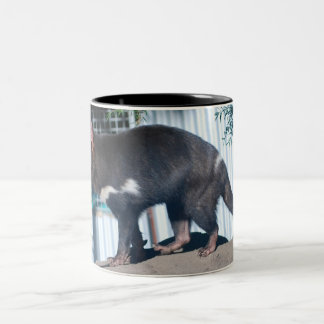Taza Bicolor Diablo tasmano