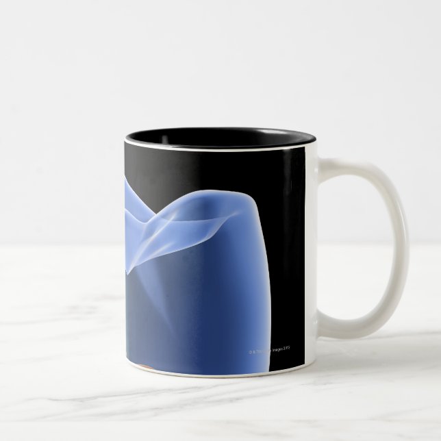 Taza Bicolor Diente, sección representativa transparente de una (Derecha)