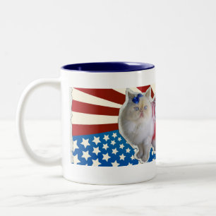 Taza Bicolor Dios bendice América