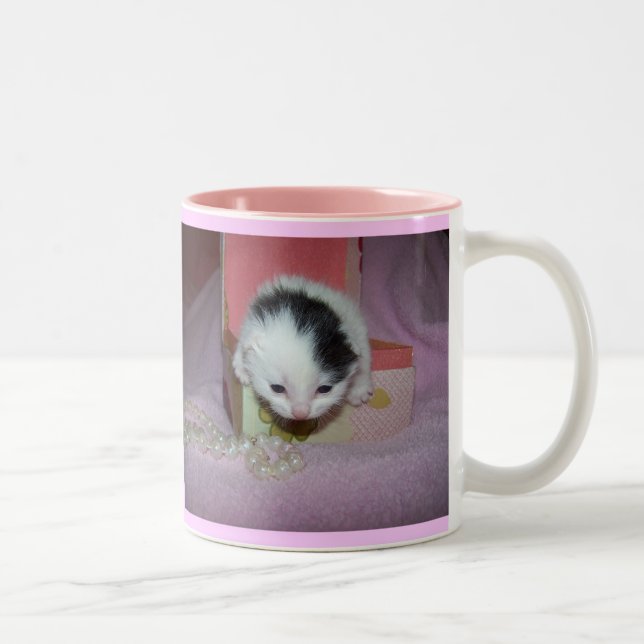 Taza Bicolor ¡Dios hizo gatitos extraordinariamente dulces! (Derecha)