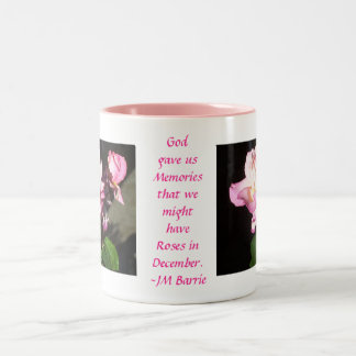 Taza Bicolor Dios nos dio rosas