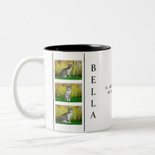 Taza Bicolor Diseño de memoria Mascota vertical con trío fotogr